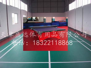乒乓球胶皮xiom79012