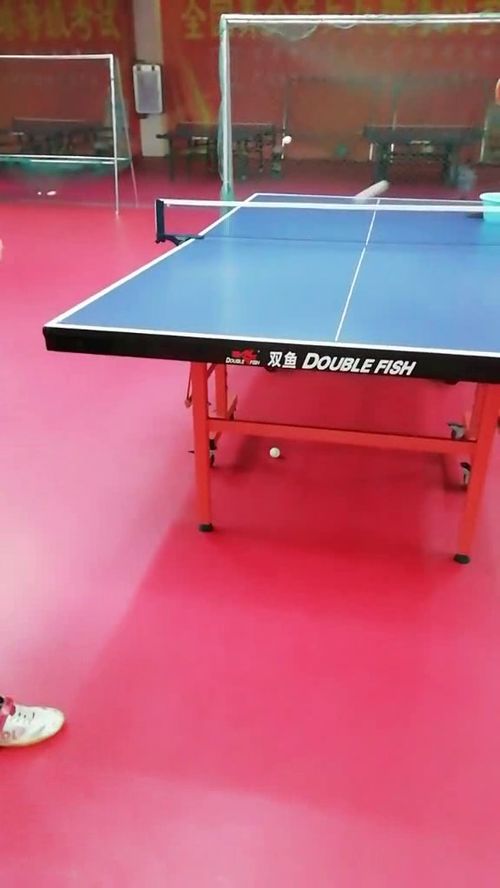 国家队用的乒乓球什么牌子