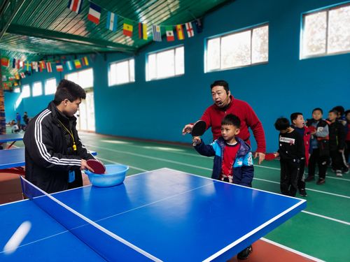 重庆的乒乓球幼儿培训班有哪些