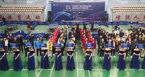 乒乓球社团心得体会