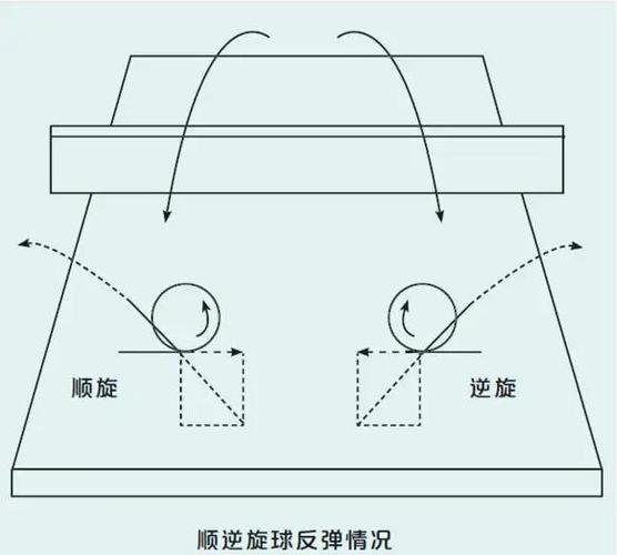 乒乓球平面图场地