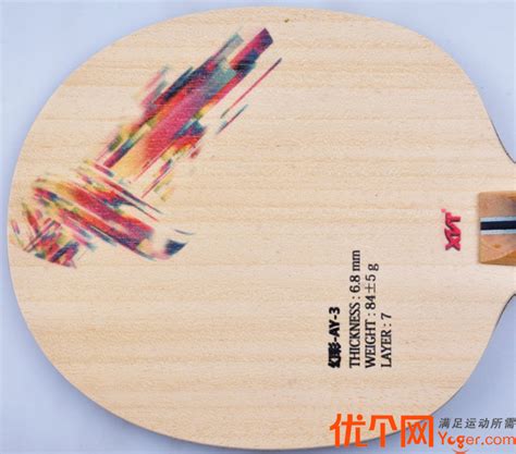 乒乓球底板结构解剖图