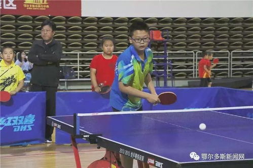 乒乓球拍横直拍什么区别