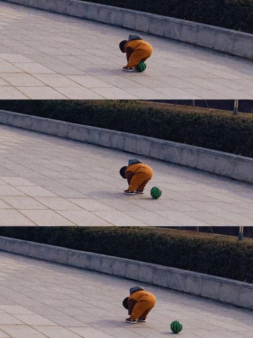 皮埃尔赖戈尔
