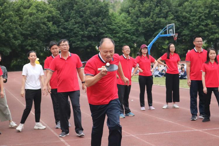 望京乒乓球拍专卖