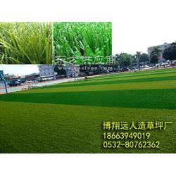 高尔夫球场用什么品种草坪