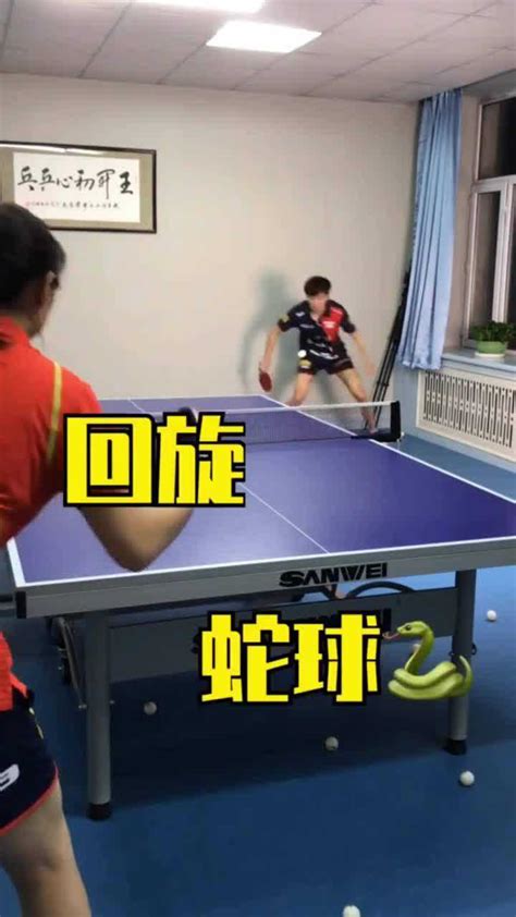 双蛇乒乓球发球机价格及图片