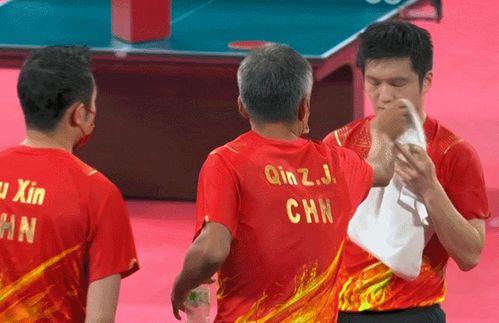 乒乓球国家队教练秦