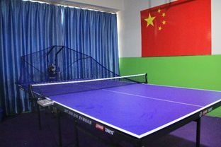 建业乒乓球俱乐部地址