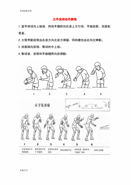 阐述乒乓球各类型打法及训练要点