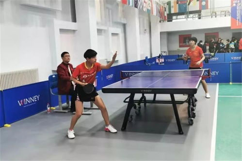 关于乒乓球的实验有什么图片?