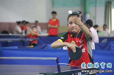 乒乓球女教练李丽