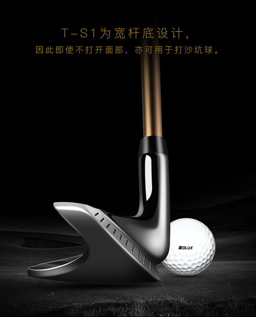 高尔夫推杆长什么样