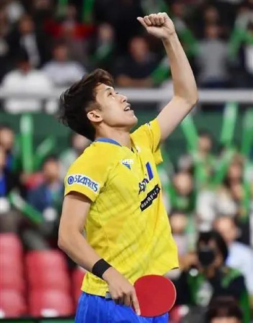 日本乒乓球球员年龄规定是多少