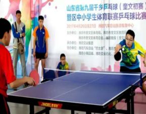 小学乒乓球教学设备