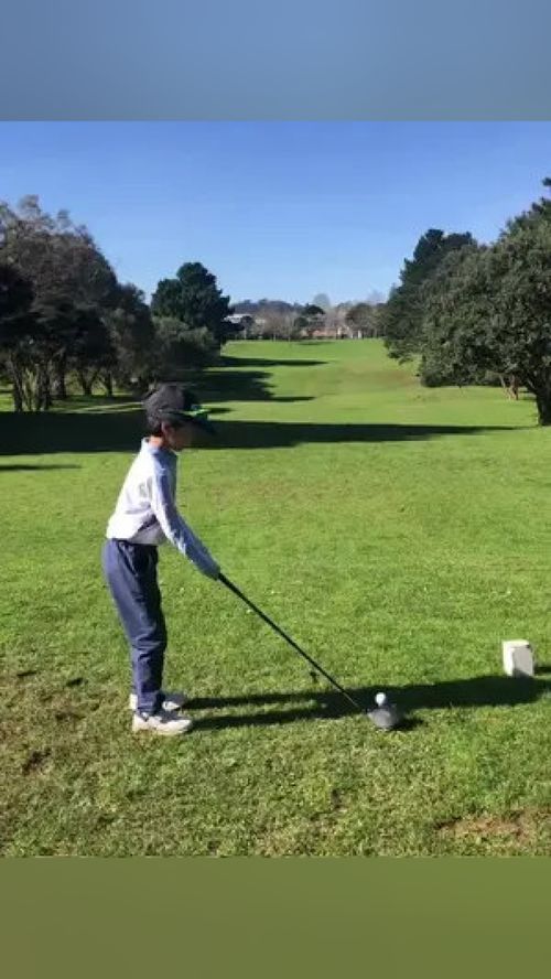 打高尔夫的样子怎么形容