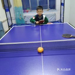 乒乓球横握法的技术要领和要求