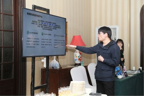 乒乓球丁宁简介