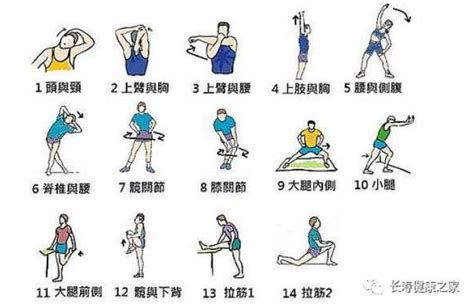乒乓球运动前热身运动八个步骤