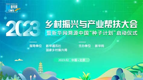 乒乓种子是什么意思