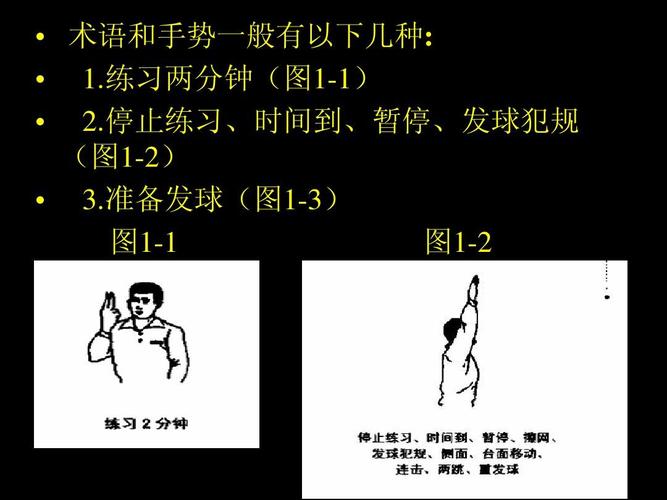 乒乓球两个人接球技巧视频教学
