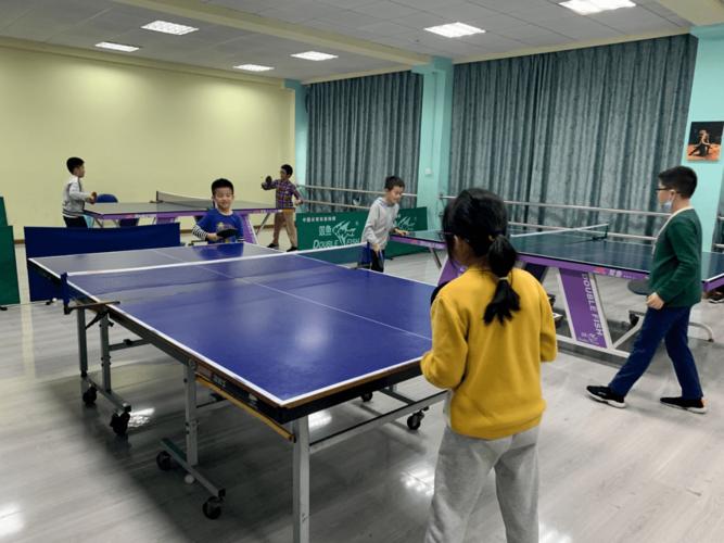 成都乒乓球训练基地在哪
