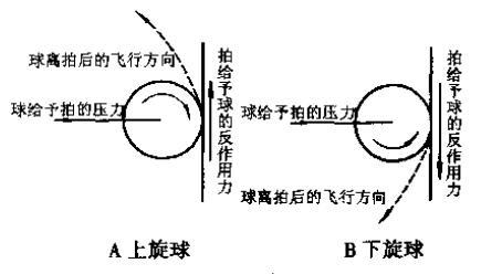 乒乓球回旋球物理原理