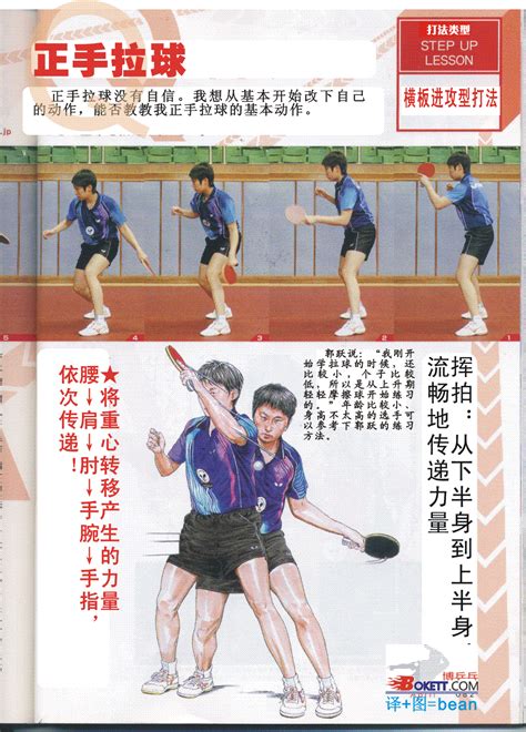 乒乓球抢先上手
