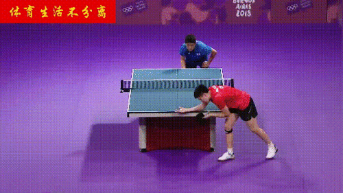 单板乒乓球底板好不好