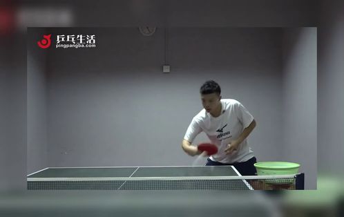 简述乒乓球反手推挡球技术动作