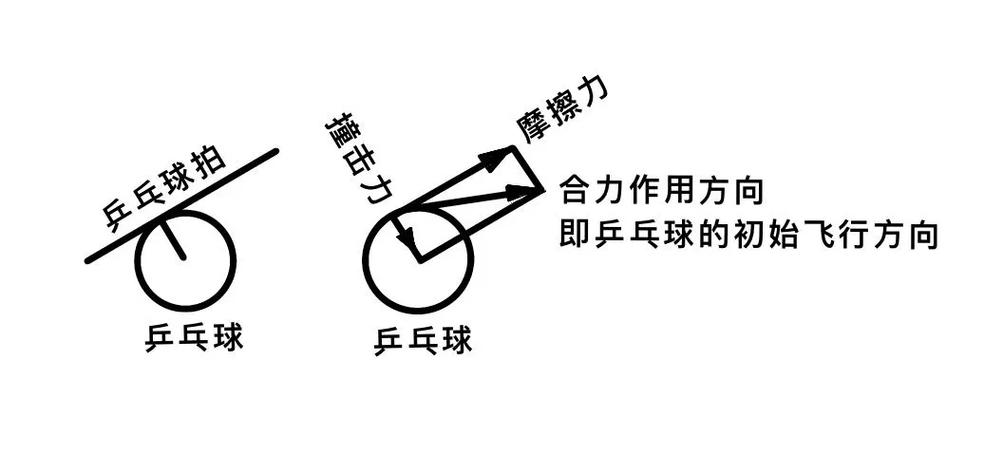 乒乓球下落高度与反弹高度实验