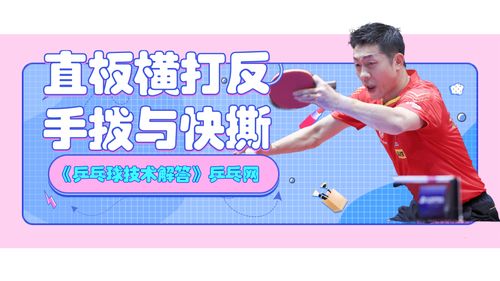 乒乓球教学及建议教案中班