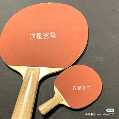 乒乓球拍选购攻略