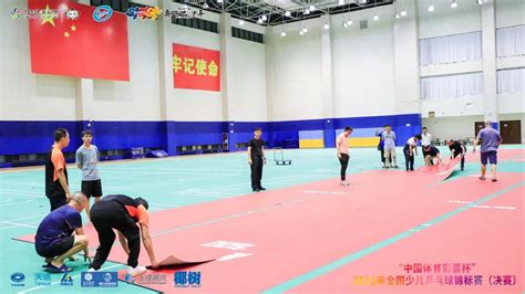 世奥得羽毛球拍