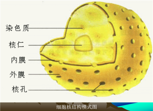 乒乓球成果概述