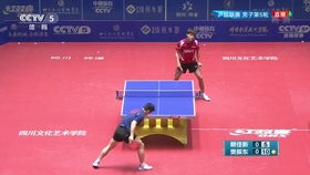 乒乓球英文怎么写?