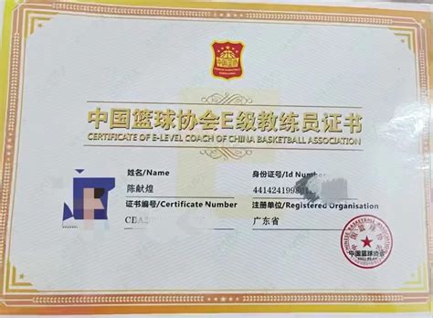 乒乓球教练员证分哪些等级