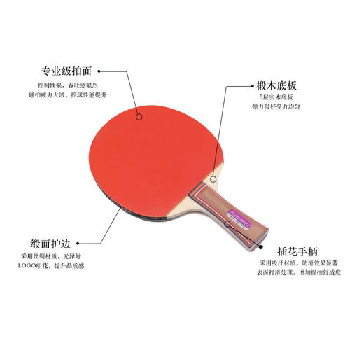 乒乓球幼儿教学