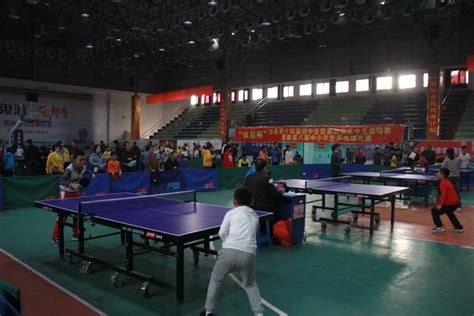 小学乒乓球比赛规则是什么