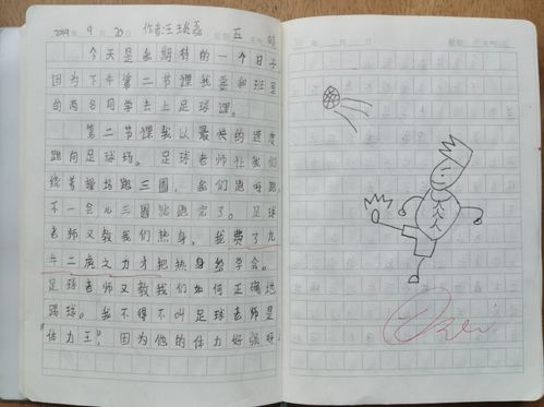 柒哥教你看乒乓球日记三年级