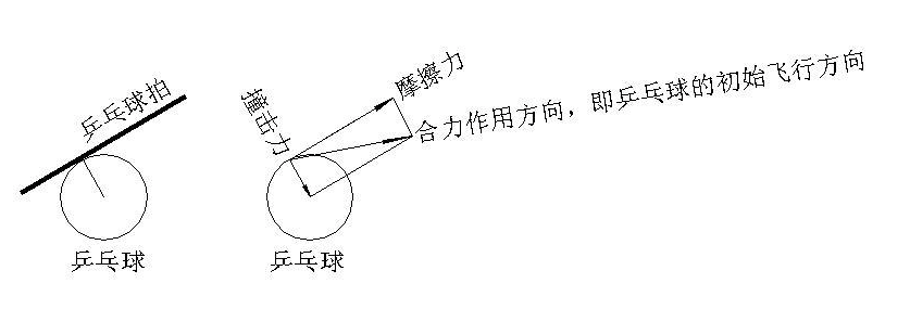 乒乓球yuan