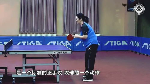 乒乓球正手攻球教学