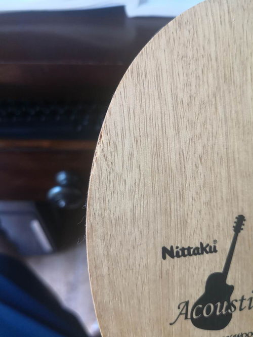 乒乓球胶皮排名及价格