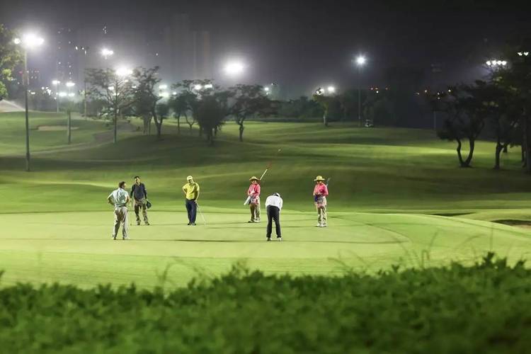 夜晚打高尔夫球图片