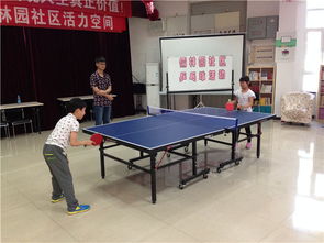 乒乓球计划总结怎么写