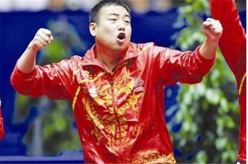 乒乒小将视频