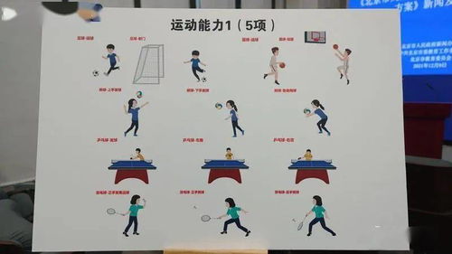 羽毛球简笔画简单