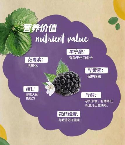 黑巧克力的作用和功效每日吃多少