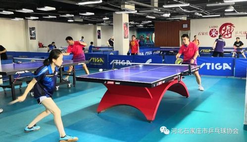 石家庄乒乓球国家队员
