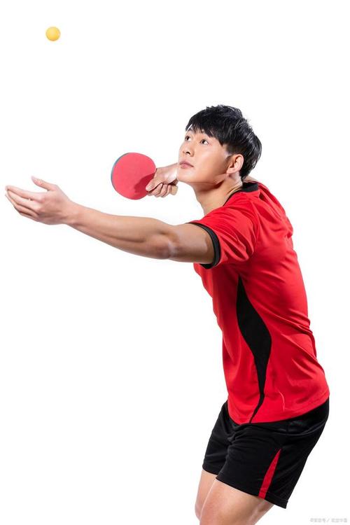 乒乓球发球机原理及示意图